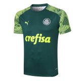 Palmeiras Short Training Green Soccer Jerseys Mens 2020/21