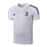 Juventus Short Training Light Grey Soccer Jerseys Mens 2020/21